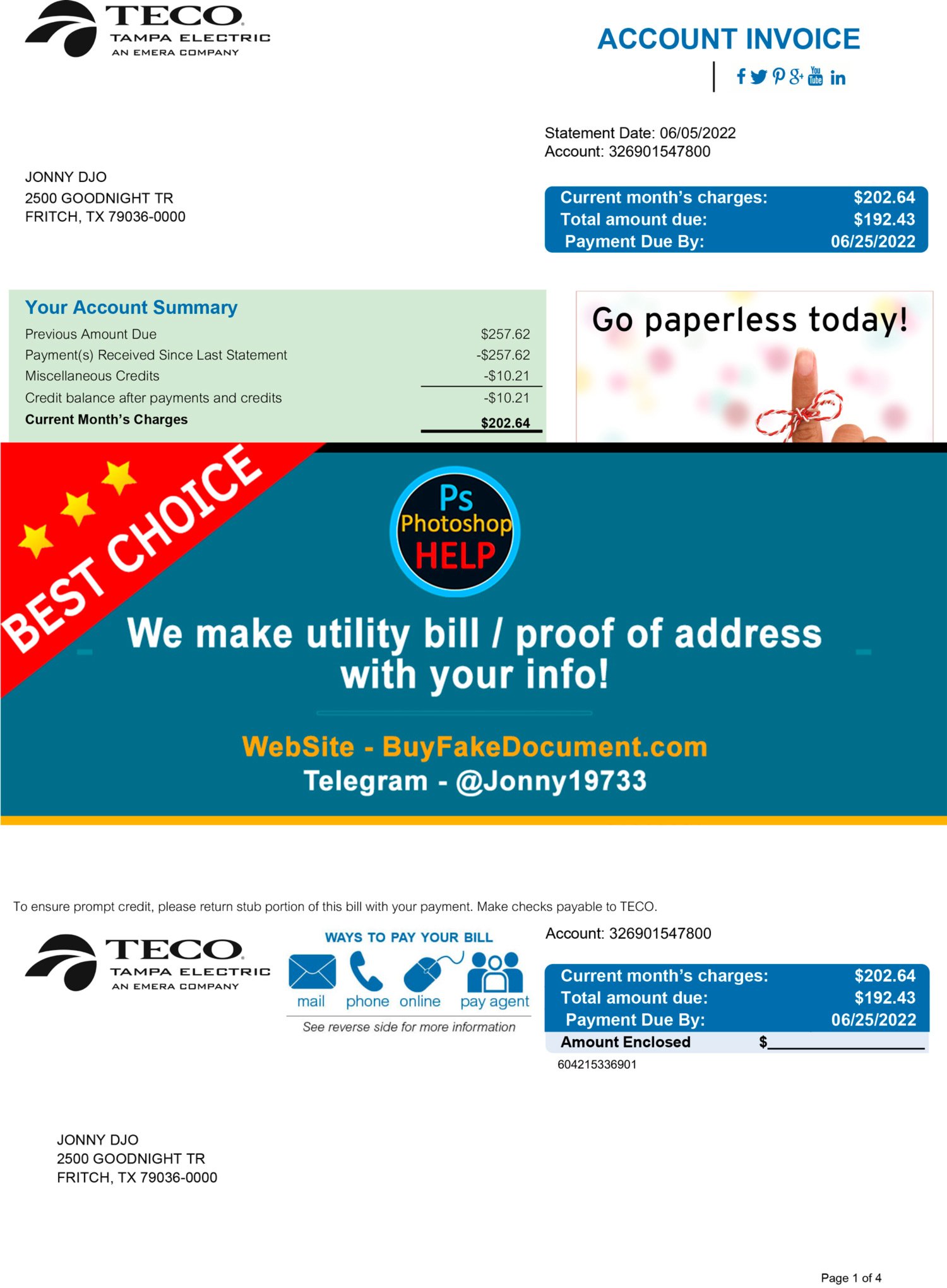 Fake Teco Tampa Electric Utility Bill