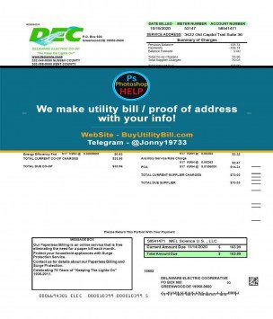 Delaware USA fake Utility bill for electricity DEC Electric Sample Fake utility bill