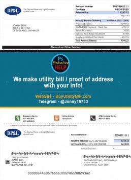 Ohio DP&L Electricity bill Sample Fake utility bill