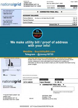NEW YORK USA fake Proof of address for electricity National Grid Sample Fake utility bill