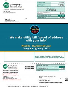 South Carolina Berkeley Electric Sample Fake utility bill
