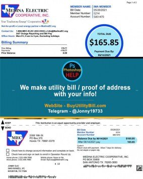 Texas Medina Electric Sample Fake utility bill