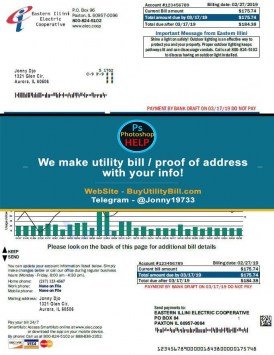 Illinois Electric Corporation Sample Fake utility bill