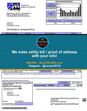CM Electricity Illinois Sample Fake utility bill