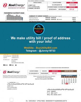 Michigan USA fake Template for electricity Xcel Energy Fake Utility bill