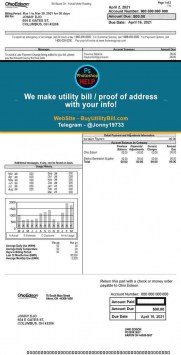 Ohio USA fake Utility bill for electricity OhioEdison Sample Fake utility bill