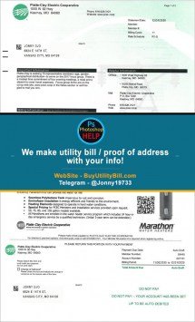 Platte-Clay Missouri Electric Bill Sample Fake utility bill