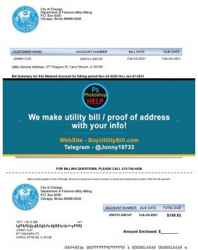 Chicago Illinois Service bill Sample Fake utility bill