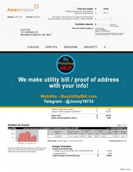 Delaware AmbitEnergy Power Sample Fake utility bill