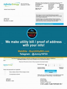 Florida Infinite Energy Sample Fake utility bill