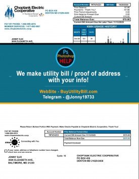 Maryland Electric Choptank Sample Fake utility bill