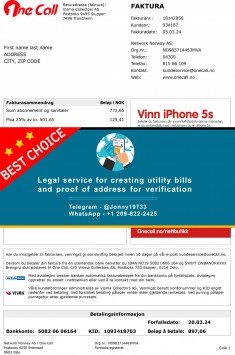Norway One Call Phone bill Sample Fake utility bill