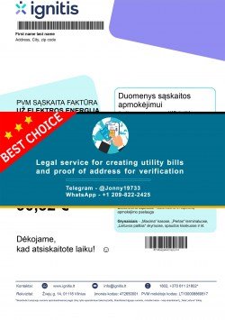 Lithuania Ignitis Energy Sample Fake utility bill