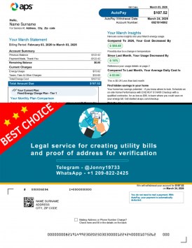 Editable APS Energy proof of utility usage – USA PDF